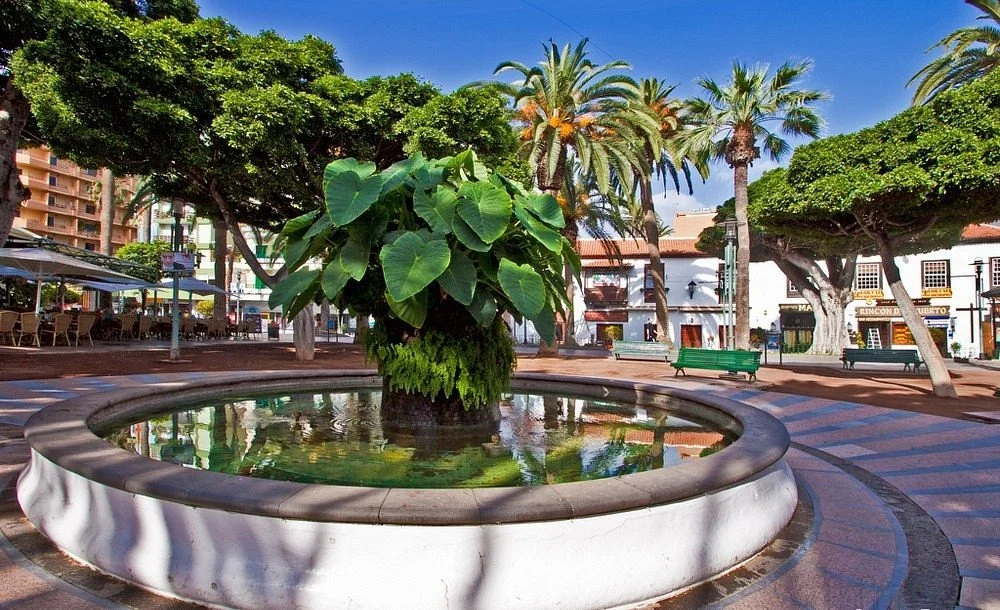 Plaza del Charco
