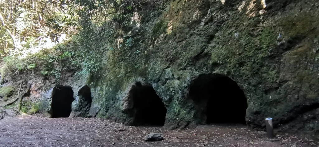 Cuevas de Cristal