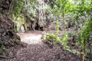 Cuevas de Toledo, Cuevas de Cristal Cuevas de Vidrio