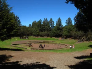 LA CALDERA DE LA OROTAVA: NATURALEZA Y AVENTURA FAMILIAR
